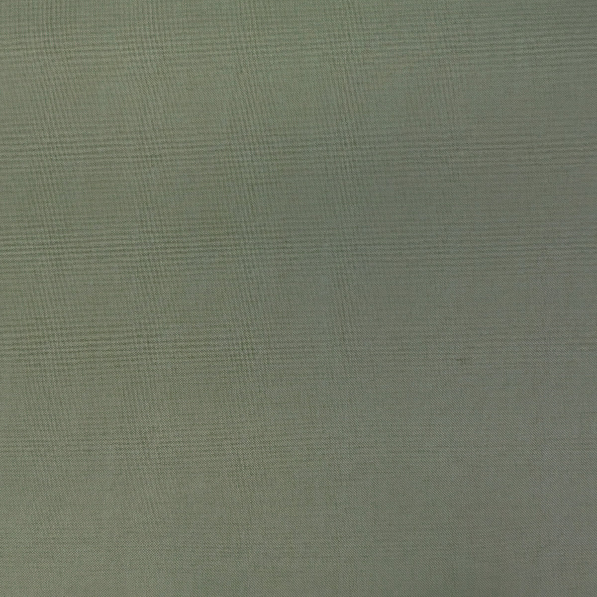 Sage Gray Cotton Blackout Roman Shade
