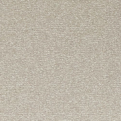 Vision Beige